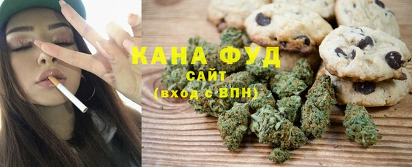 дживик Аша