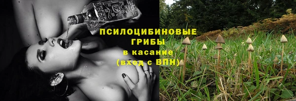 дживик Аша