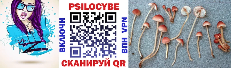 где найти Ясногорск Галлюциногенные грибы Magic Shrooms