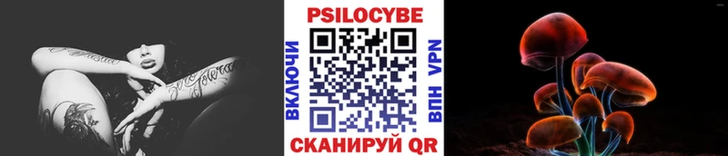 Псилоцибиновые грибы GOLDEN TEACHER Ясногорск